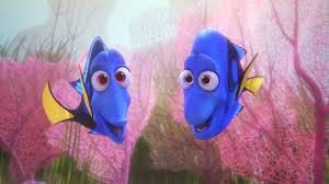 Dory 4