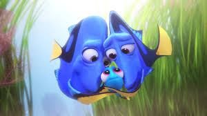 Dory 5