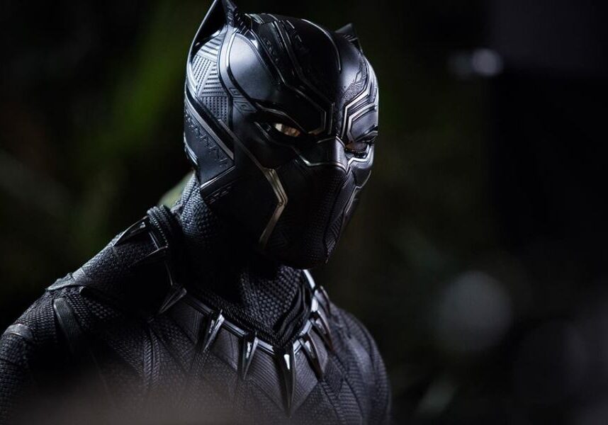 Black Panther, suited up.